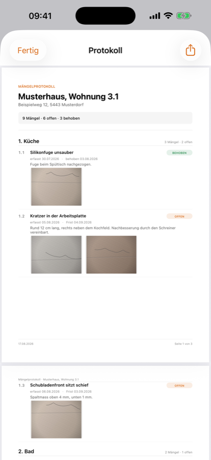 Finished PDF report